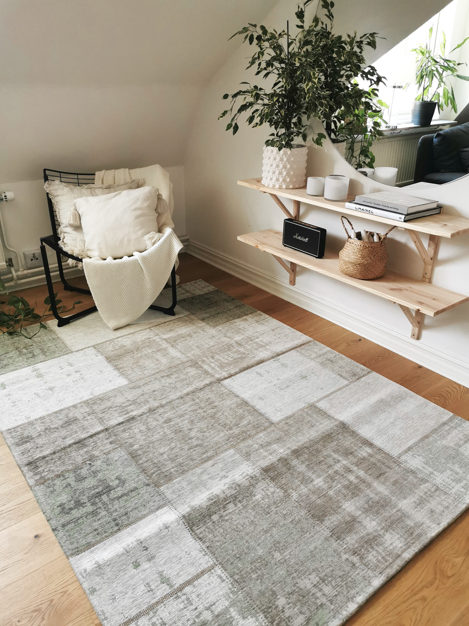 Grön Carlucci - Image 7