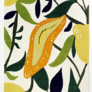 fruitgarden-fruitgarden-vit_500