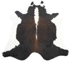 Koskinn Tricolor