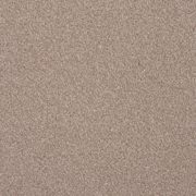 Zen-Fusion-color-262-Camel-2