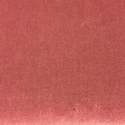dream-rosa-141