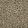 Corindo-color-221-Acorn-1