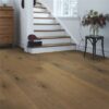 Saddle brown Oak 5