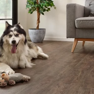 COREtec Essentials 1500 Jasper Oak 01