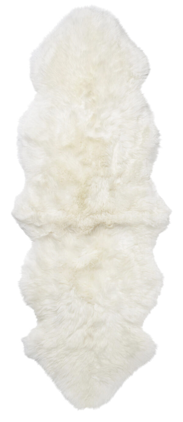 Skinnwille - Image 6
