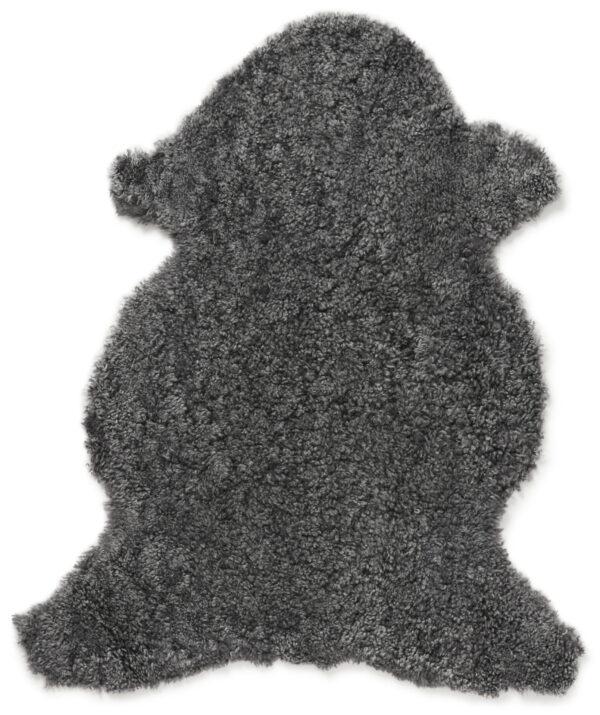 Skinnwille - Image 4