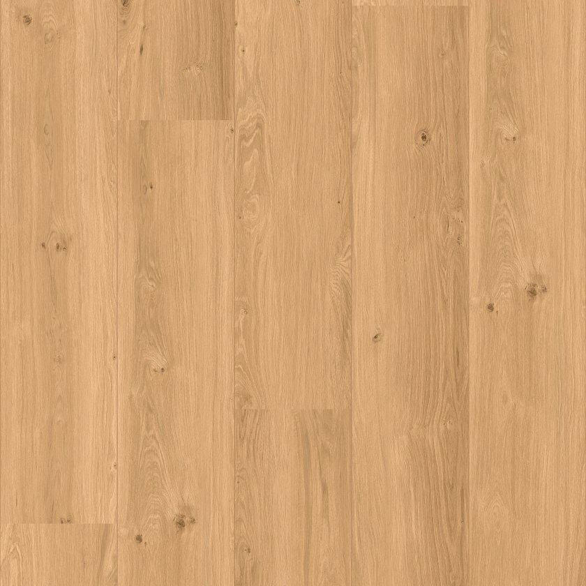 COREtec XL-END Chambord - Image 2