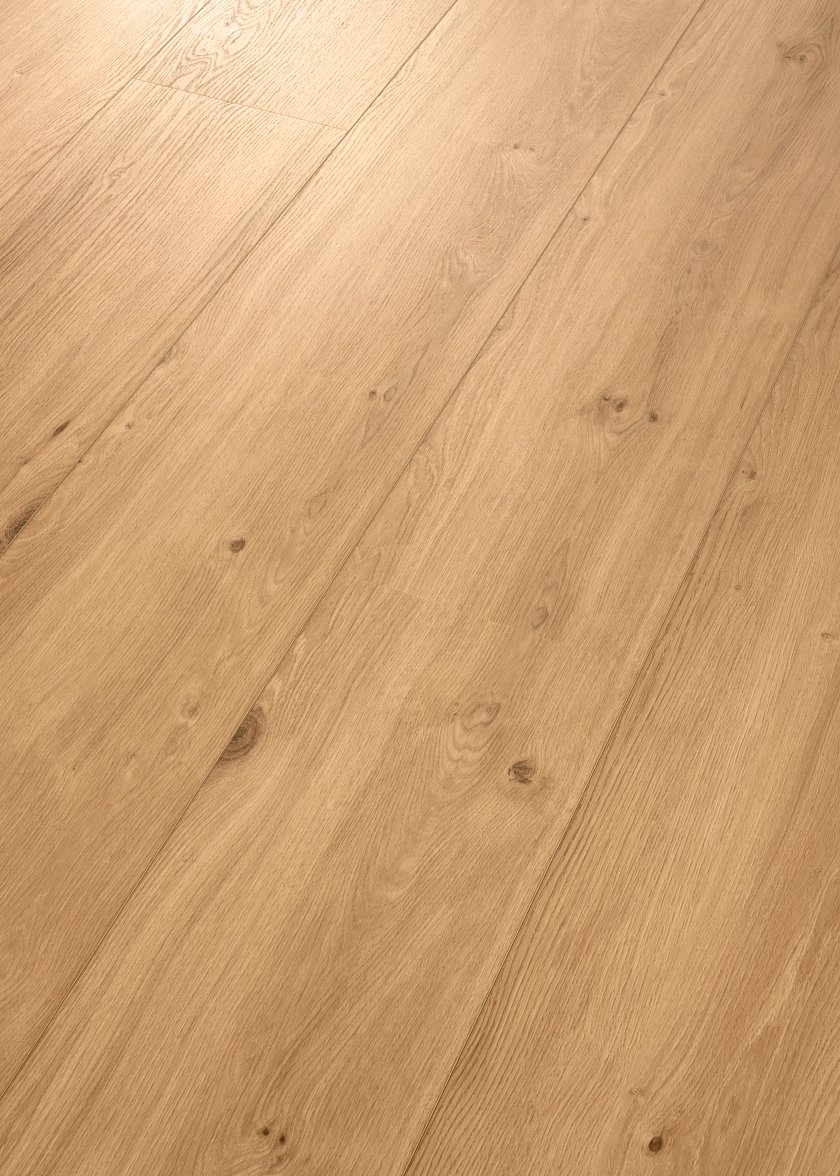 COREtec XL-END Chambord - Image 3