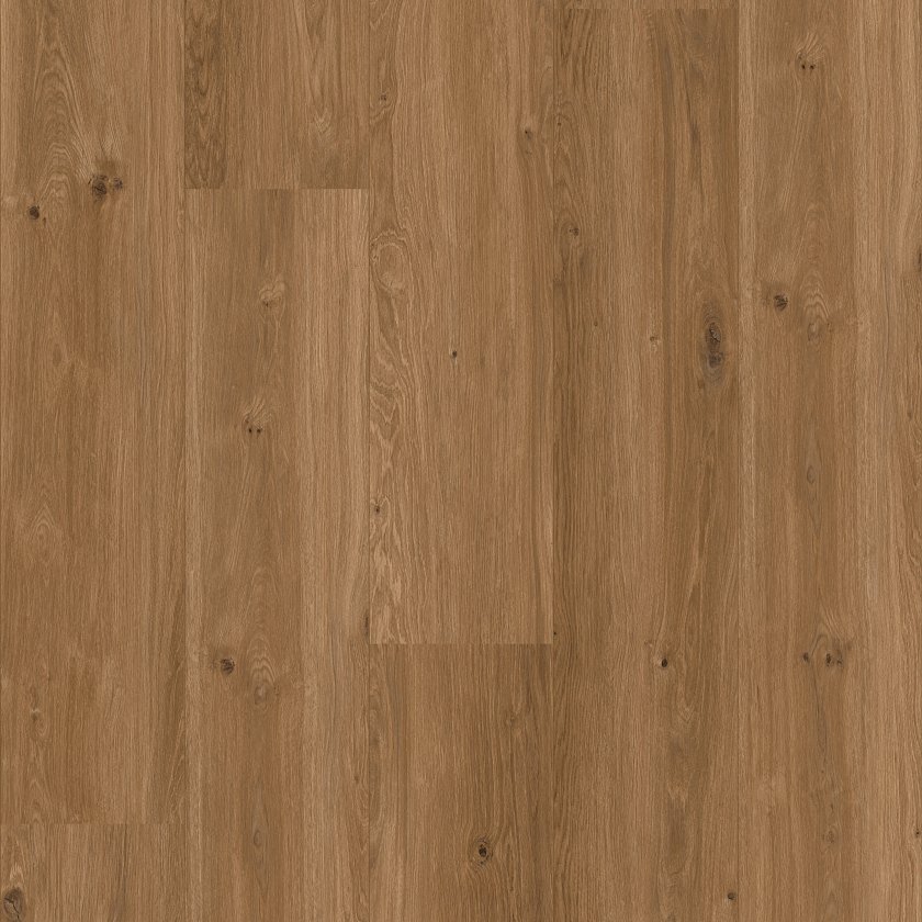 COREtec XL-END Saumur - Image 2