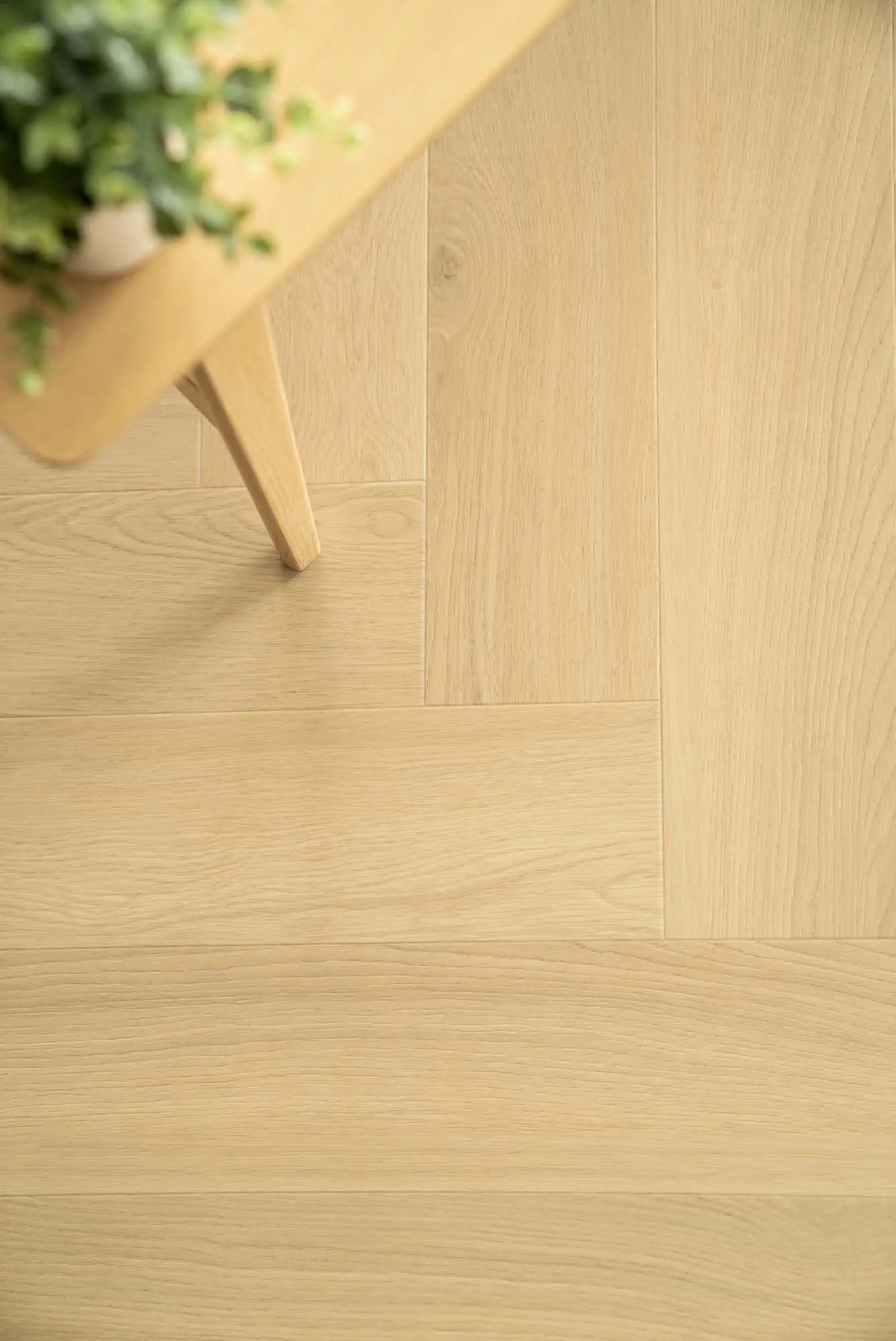 Wallmann Vinylgolv Pacific Fiskben Invisible Rustik Oak