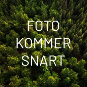 Wallmann Laminatgolv Mammut Ek Plank 4152 Everest Natur