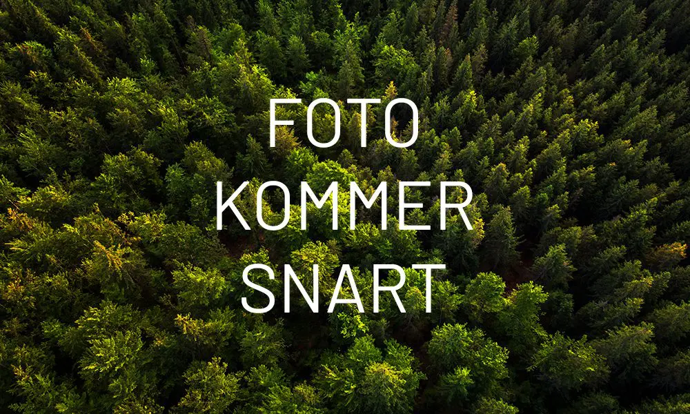 Wallmann Laminatgolv Mammut Ek Plank 4152 Everest Natur